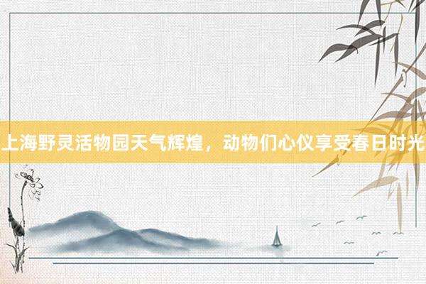 上海野灵活物园天气辉煌，动物们心仪享受春日时光